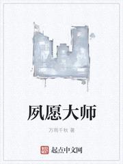 夙愿大师封面